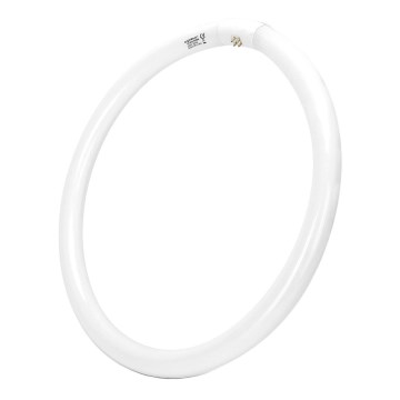 Lysrör T9 G10q/40W/230V 6500K - Aigostar