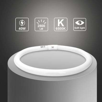 Lysrör T9 G10q/40W/230V 6500K - Aigostar