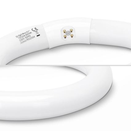 Lysrörstub T9 G24q-1/22W/230V 6500K - Aigostar