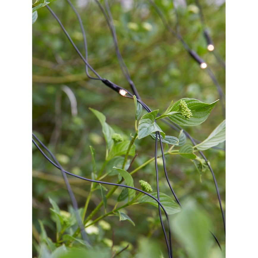 Markslöjd 108178 - LED utomhus julgardin GARDEN24 160xLED/4W/24V 2x2m varmvit