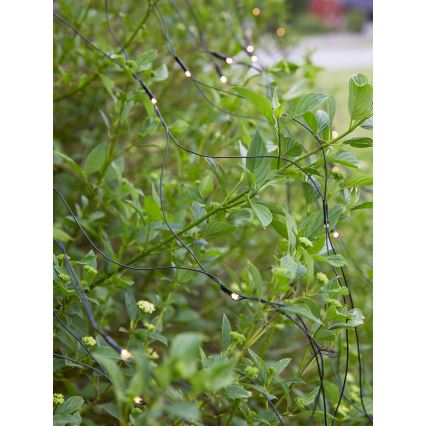 Markslöjd 108178 - LED utomhus julgardin GARDEN24 160xLED/4W/24V 2x2m varmvit