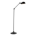 Markslöjd 108586 - Golv lampa PORTLAND 1xE27/40W/230V svart
