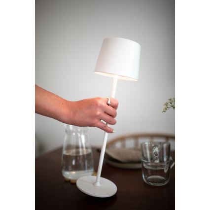 Markslöjd 108654 - LED dimbar uppladdningsbar lampa FIORE LED/2W/5V IP44 38 cm vit