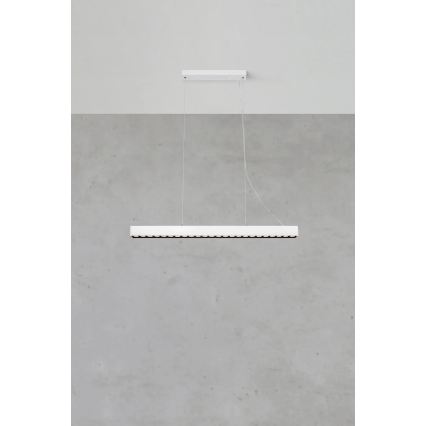 Markslöjd 108892 - Dimbar LED-taklampa på wire PLANO LED/38W/230V vit