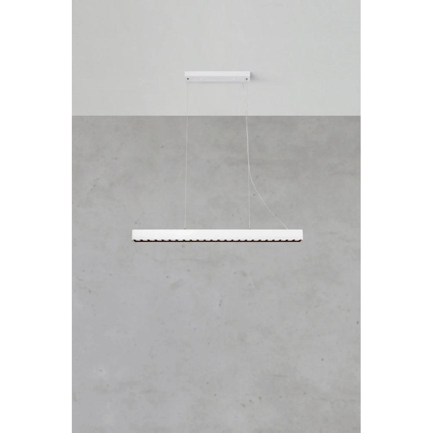 Markslöjd 108892 - Dimbar LED-taklampa på wire PLANO LED/38W/230V vit