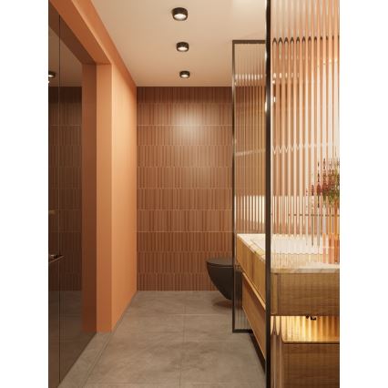 MAXLIGHT C0204 - LED taklampa för badrum KODAK LED/8W/230V diameter 10,8 cm IP44 svart