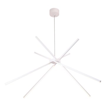 MAXLIGHT P0270 - LED ljuskrona med textilsladd SPINDEL LED/33W/230V vit