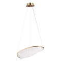 MAXLIGHT P0637D - LED-ljuskrona på vajer EMPIRE LED/17W/230V guld