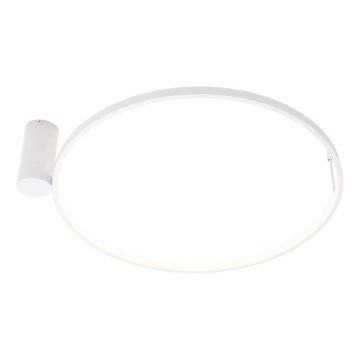 MAXLIGHT W0434 - LED-badrumsplafond VISUAL LED/22W/230V Ø 60 cm IP44 vit