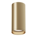 Maytoni C010CL-01MG - Spotlight FOCUS 1xGU10/50W/230V guld