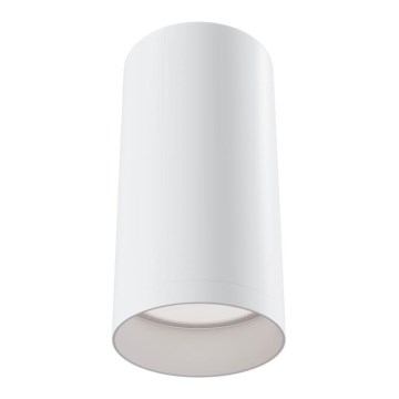 Maytoni C010CL-01W - Spotlight FOCUS 1xGU10/50W/230V vit