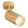 Maytoni C034CL-01G - Spotlampa FOCUS 1xGU10/10W/230V guld