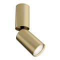 Maytoni C051CL-01MG - Spotlight FOCUS 1xGU10/10W/230V guld