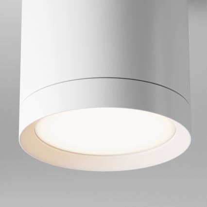 Maytoni C086CM-GX53-MRD-W - Spotlight HOOP 1xGX53/15W/230V vit