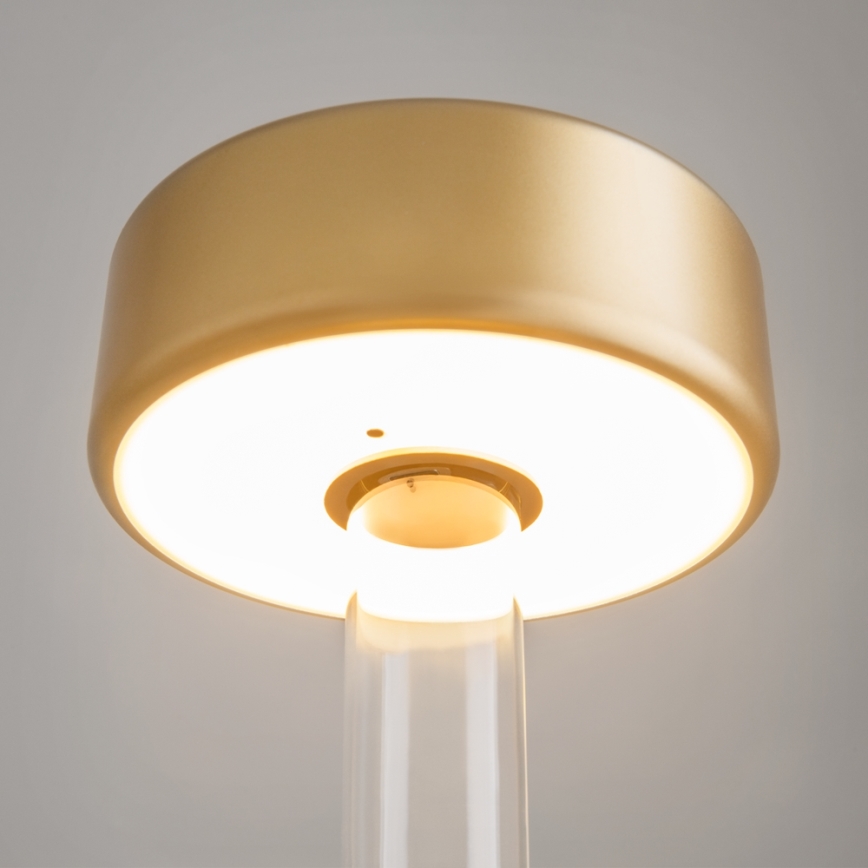 Maytoni MOD229TL-L3G3K1 - LED dimbar uppladdningsbar bärbar bordslampa LED/3W/5V 2200-4000K 2000 mAh guld/klart
