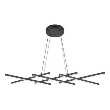 Maytoni MOD244PL-L50BK - LED-pendel på vajer HALO LED/40W/230V svart