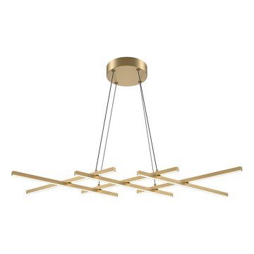 Maytoni MOD244PL-L50BSK - HALO LED-ljuskrona på vajer LED/40W/230V, guld