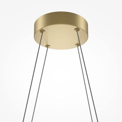 Maytoni MOD244PL-L50BSK - HALO LED-ljuskrona på vajer LED/40W/230V, guld
