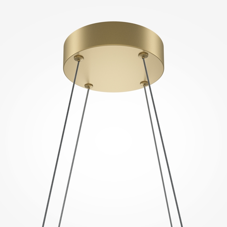 Maytoni MOD244PL-L50BSK - HALO LED-ljuskrona på vajer LED/40W/230V, guld