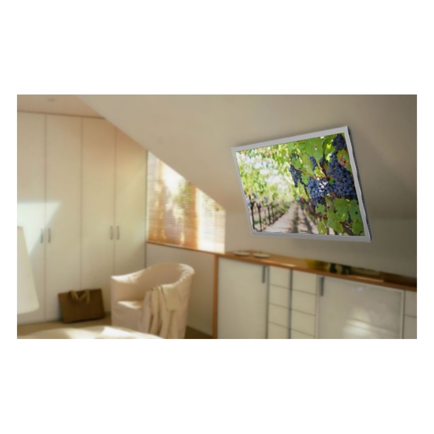 MK FLORIA MKF-20DM444 - Smart takhållare för TV 55 svart Wi-Fi TUYA + fjärrkontroll