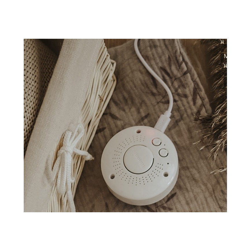 Moonie - Goskompis med melodi och ljus kanin sky