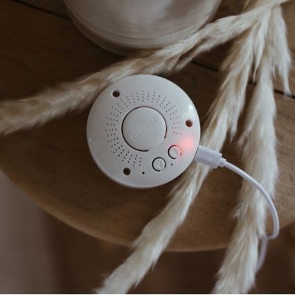 Moonie - Sovdjur med melodi och ljus, nalle silver