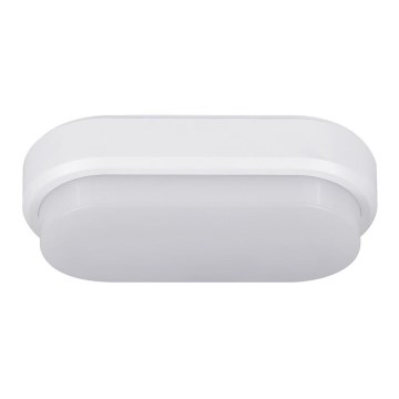 Müller-Licht - LED taklampa för utomhusbruk IPSUM LED/8W/230V IP54