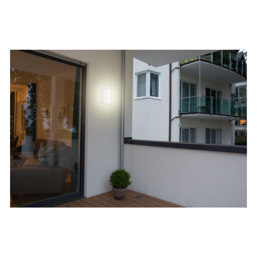 Müller-Licht - LED taklampa för utomhusbruk IPSUM LED/8W/230V IP54