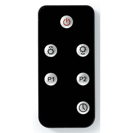 Utomhus värmeelement 100W/2000W/230V IP65 + fjärrkontroll