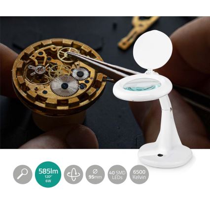 LED Skrivbordslampa med förstoringsglas LED/6,5W/230V 6500K