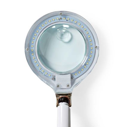 LED Skrivbordslampa med förstoringsglas LED/6,5W/230V 6500K