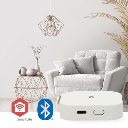 Smart gateway SmartLife 5V med Wi‑Fi