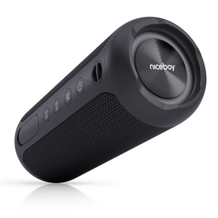 Niceboy Polaris - LED Trådlös högtalare med mikrofon 30W/2000 mAh IPX7 svart