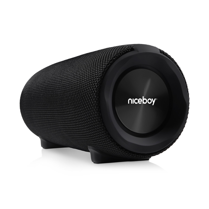 Niceboy Titan 4 - LED Trådlös högtalare Med en mikrofon och powerbank funktion 50W/4000 mAh IPX7 svart