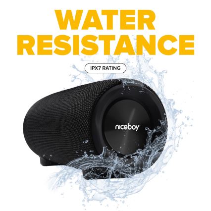 Niceboy Titan 4 - LED Trådlös högtalare Med en mikrofon och powerbank funktion 50W/4000 mAh IPX7 svart