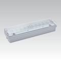 Nödbelysning CARLA LED LED/5,51W/230V IP65