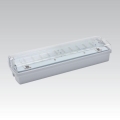Nödbelysning CARLA LED LED/5,51W/230V temporary 1h IP65