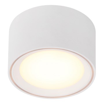 Nordlux - Dimmbar LED-spot FALLON LED/5,5W/230V vit