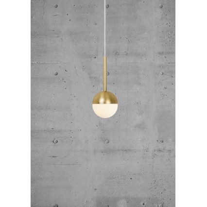 Nordlux - Pendellampa med sladd CONTINA 1xG9/5W/230V mässing