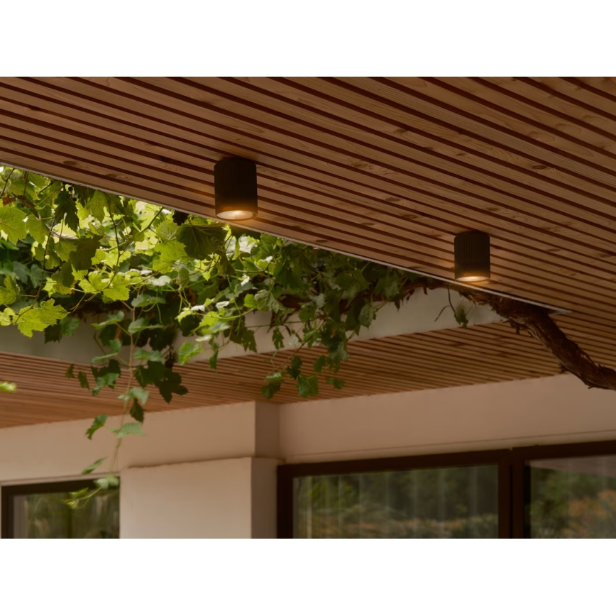 Nordlux - Taklampa för utomhusbruk KYKLOP 1xGU10/15W/230V IP54 svart