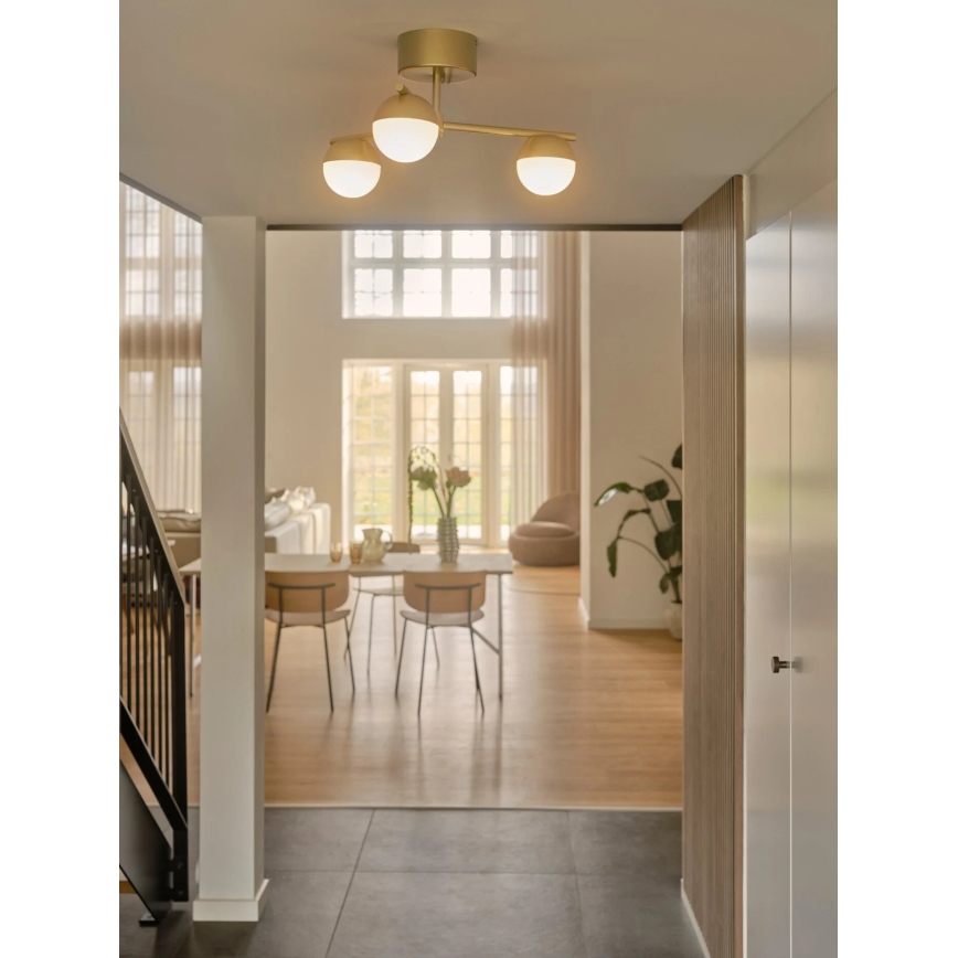 Nordlux - Ytmonterad ljuskrona CONTINA 3xG9/5W/230V mässing