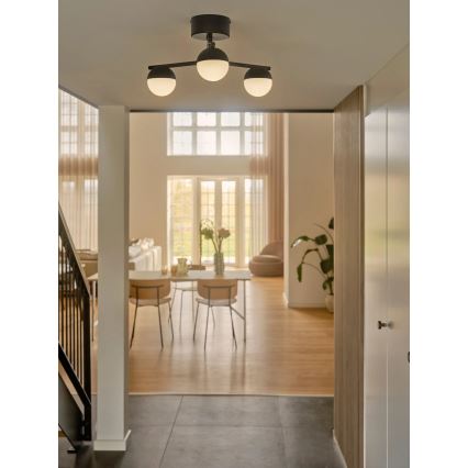 Nordlux - Ytmonterad ljuskrona CONTINA 3xG9/5W/230V svart