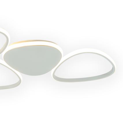 ONLI - LED taklampa ROMEO LED/48W/230V 4000K vit