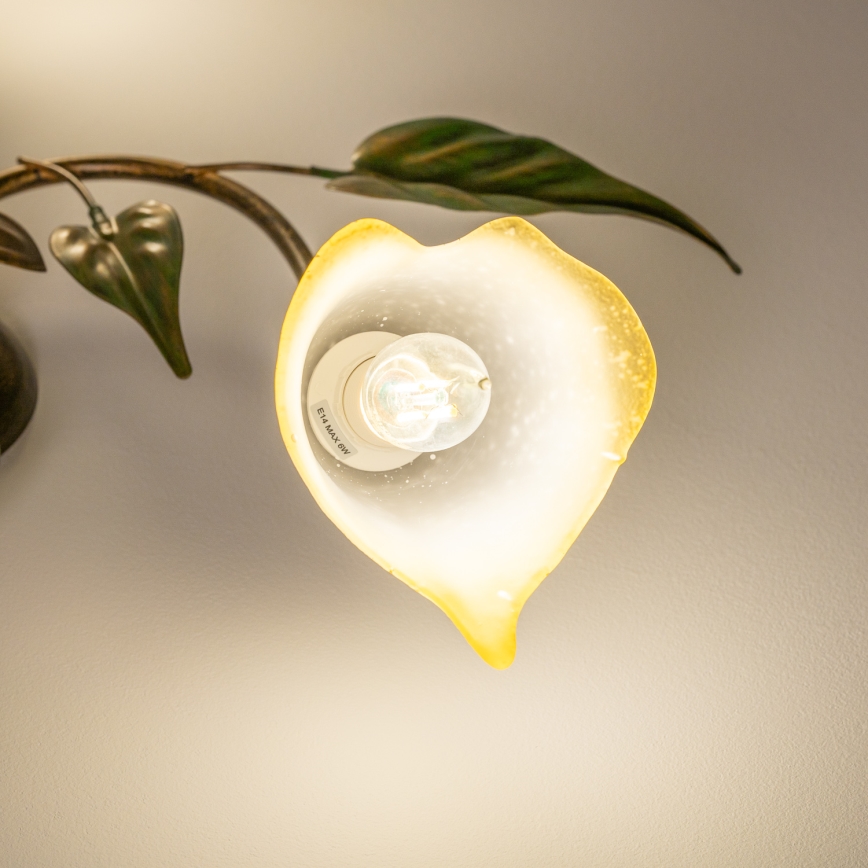 ONLI - Taklampa MIRANDA 5xE14/6W/230V