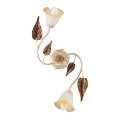 ONLI - Taklampa VANDA 2xE14/6W/230V