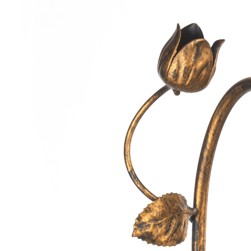 ONLI - Vägglampa ARIANNA 1xE14/6W/230V