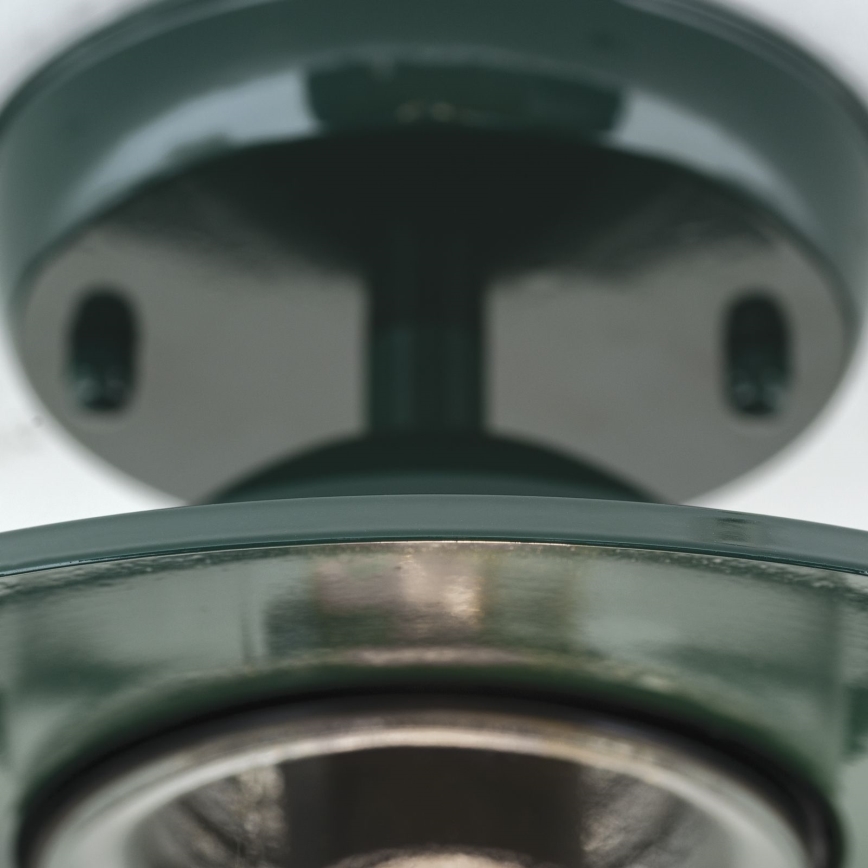 Utomhus ytmonterad ljuskrona EDWARD 1xE27/60W/230V IP44 grön