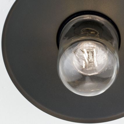 Utomhus ytmonterad ljuskrona EDWARD 1xE27/60W/230V IP44 svart