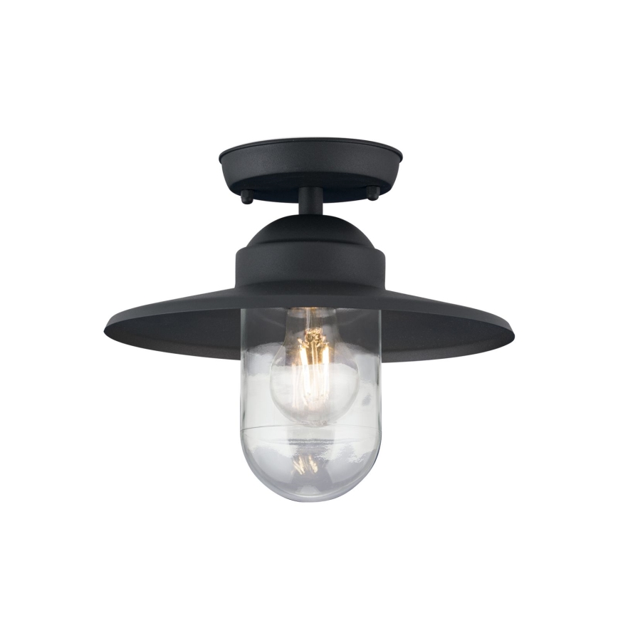 Utomhus ytmonterad taklampa EDWARD 1xE27/60W/230V IP44 antracit