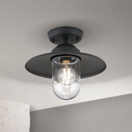 Utomhus ytmonterad taklampa EDWARD 1xE27/60W/230V IP44 antracit